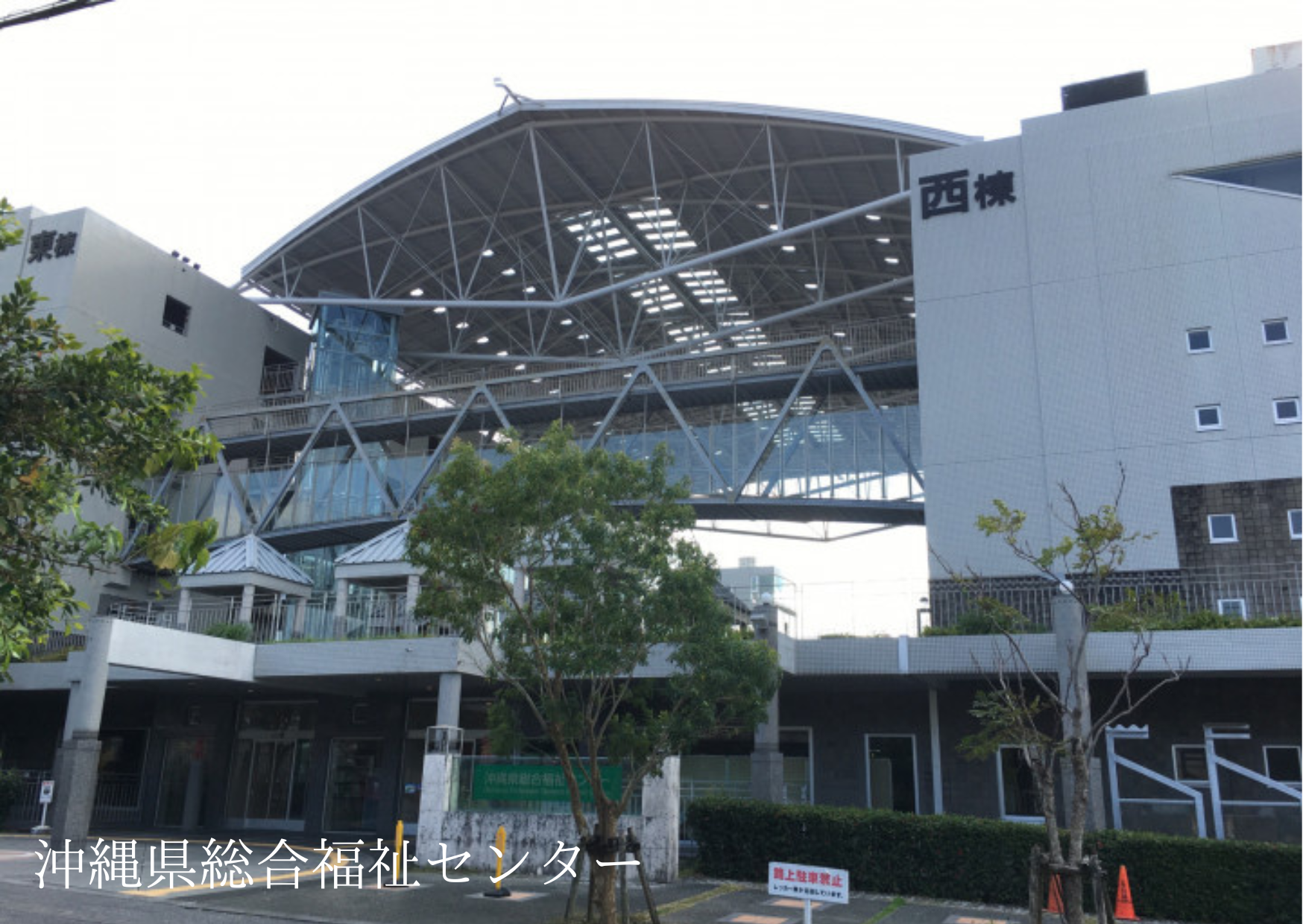 �����Z���^�[