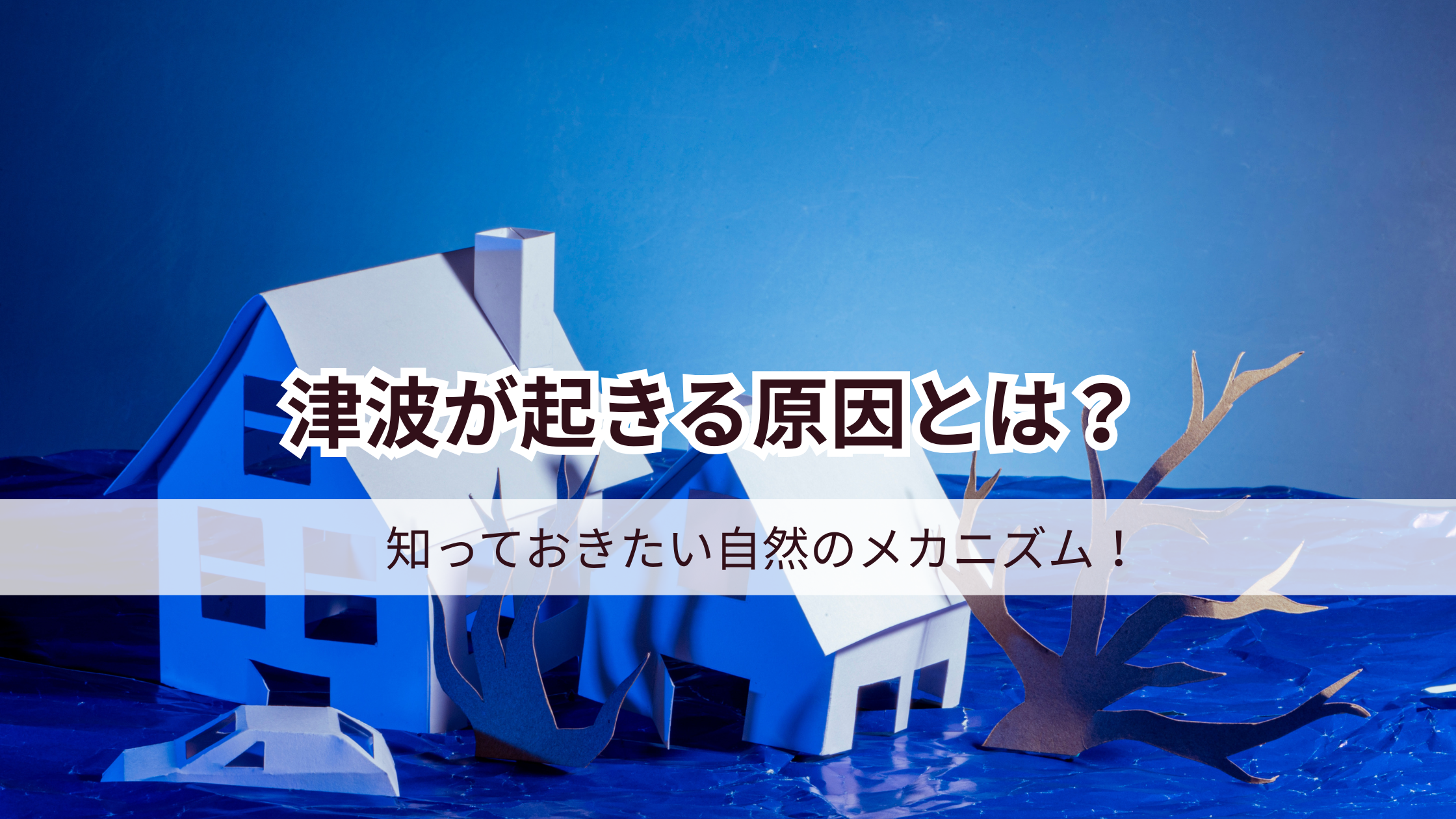 �Ôg�̌���