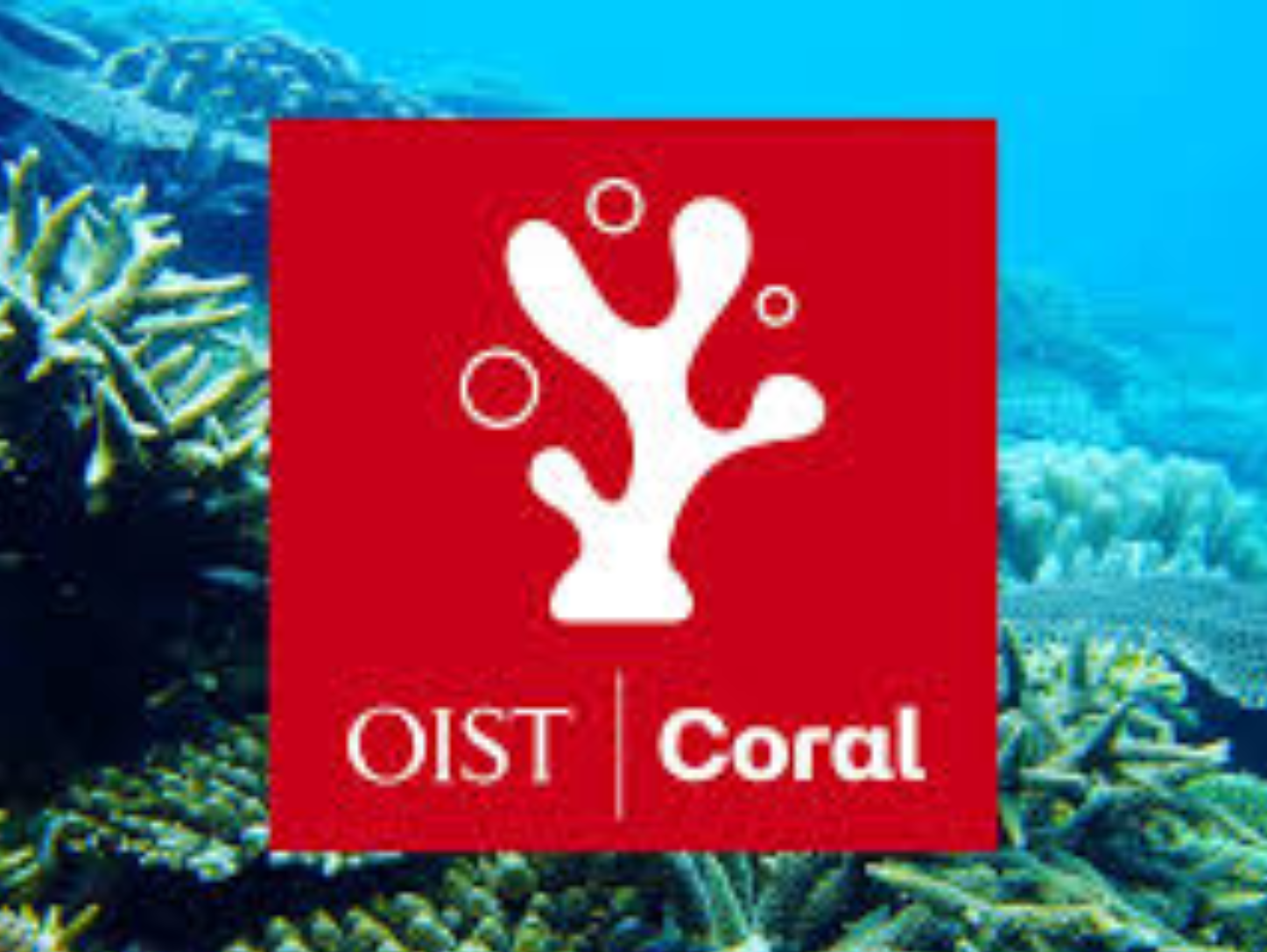 �yOIST�z�T���S�v���W�F�N�g