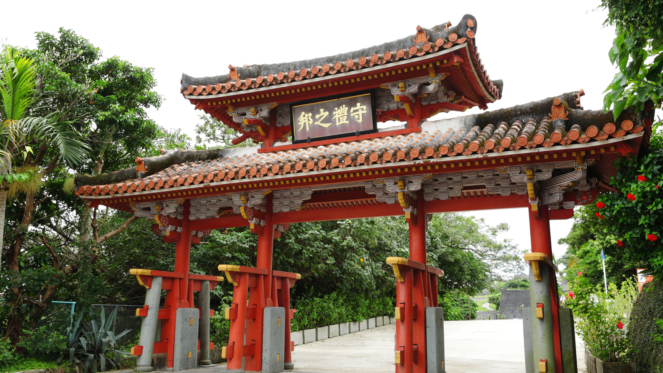 �񗢏鐳�a�����j��